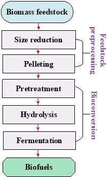 Effects of Biomass Particle Size in Cellulosic Biofuel Production