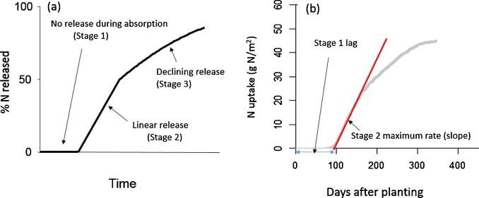 Modelling Sugarcane Nitrogen Uptake Patterns